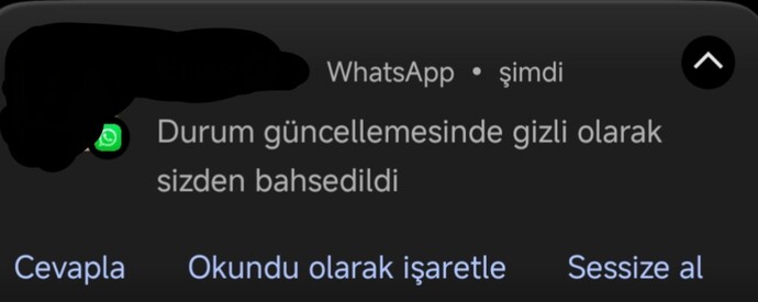 Sizi hangi durum önemli hissettirir?