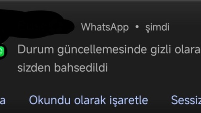 Sizi hangi durum önemli hissettirir?