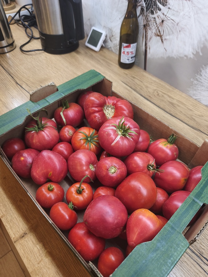 Evde balkon tarımı yapıp markete inat kendi sebzesini yetiştirenler burada mı?