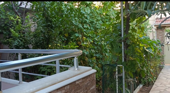 Evde balkon tarımı yapıp markete inat kendi sebzesini yetiştirenler burada mı?