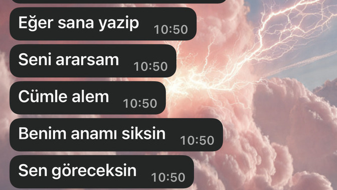 Neden bu kadar sinirlendi sırf engeli kaldırdım diye?