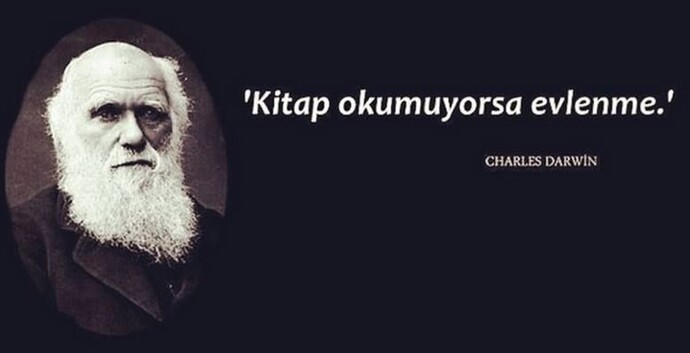 Karşı cinsin kültür seviyesi önemli midir?