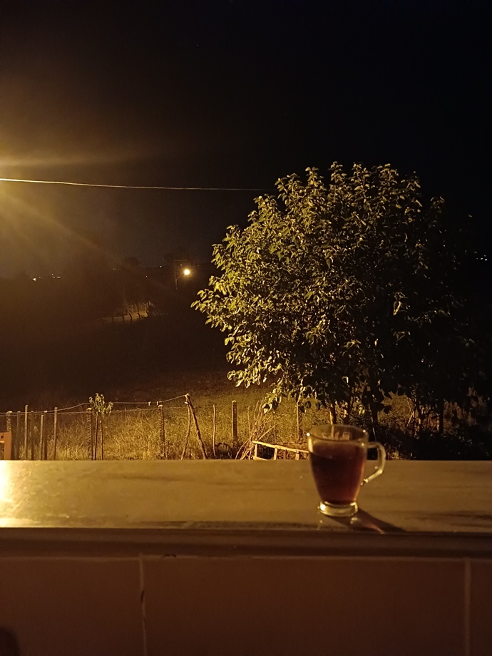 İyi geceler, gece gece ne yapıyorsunuz sohbet edelim mi?
