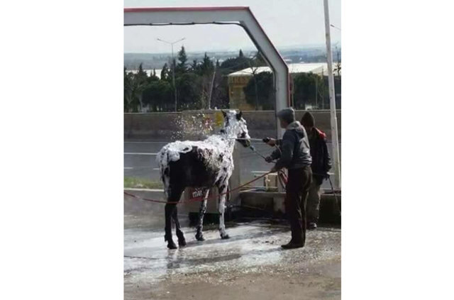 Agalarla kadifeyi yıkarkene