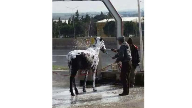 Her güzel şeyin bir sonu var mıdır, Vedalaşmak ister miydiniz?