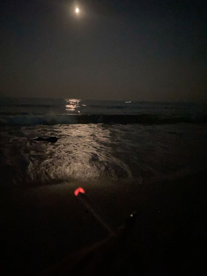 Nasılsınız 🙂↕️🌸?