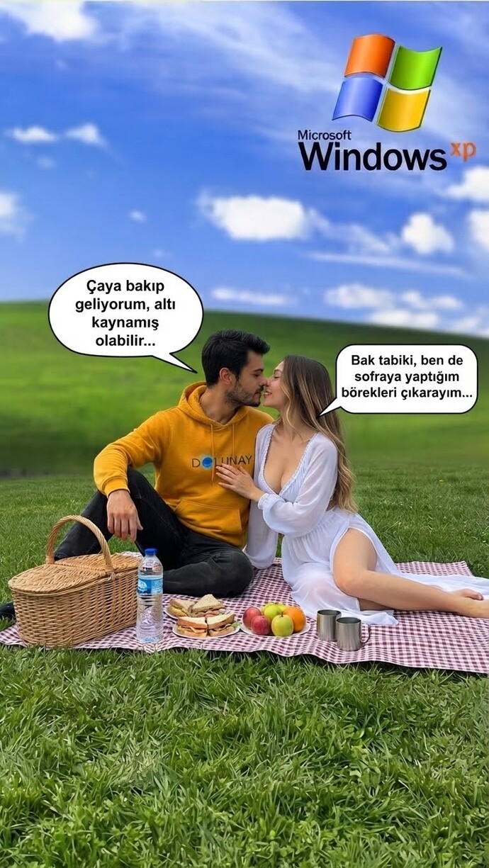 Bu sabah yediğin şeyi piknikte seninle yeseydim, ne yemiş olurduk?