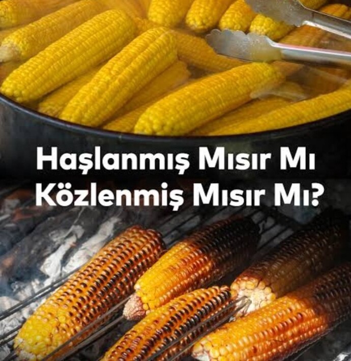 Mısırı haşlanmış mı seversiniz , közlenmiş mi?