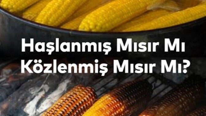 Mısırı haşlanmış mı seversiniz , közlenmiş mi?