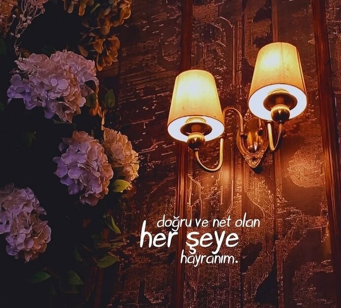 Netliğin olmadığı yerde çabalar mısın?