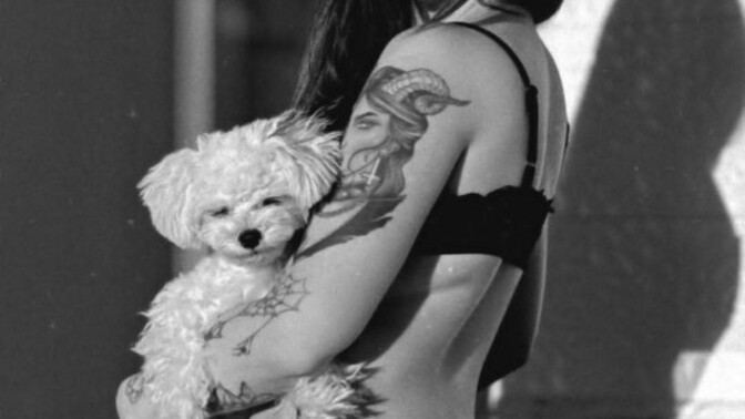 Sizin de patili dostunuz var mı, varsa ismi ne ve ne cins bir köpek?
