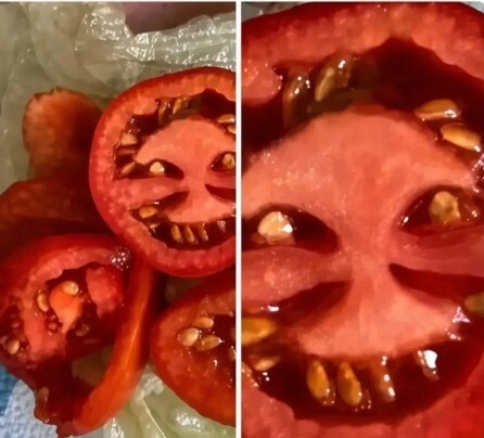 Bilmiyorum, tuz mu atayım kutsal su mu?