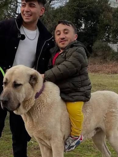 En son nereye yetiştiniz?