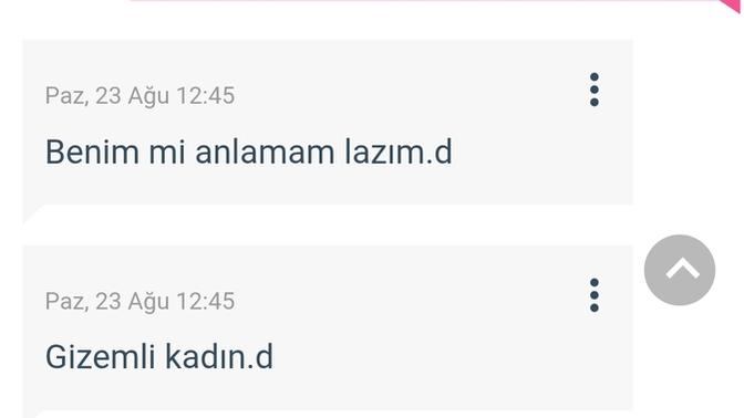 Bu nasıl biridir?