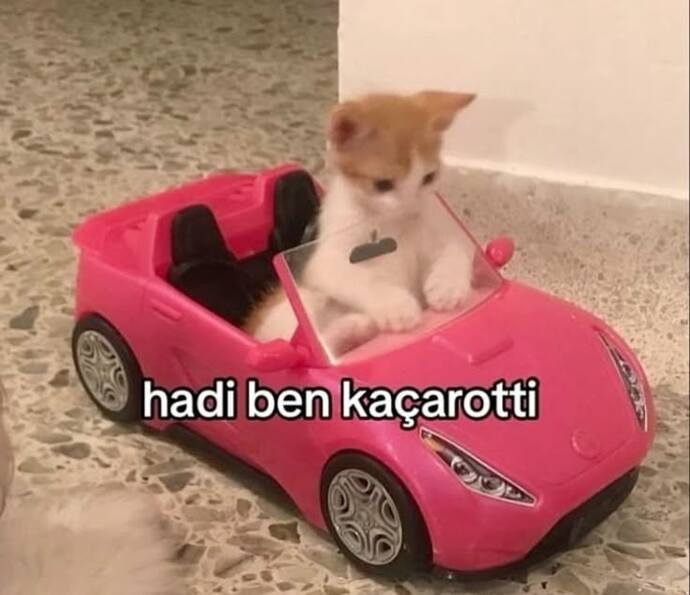Nereye gazlayalım?