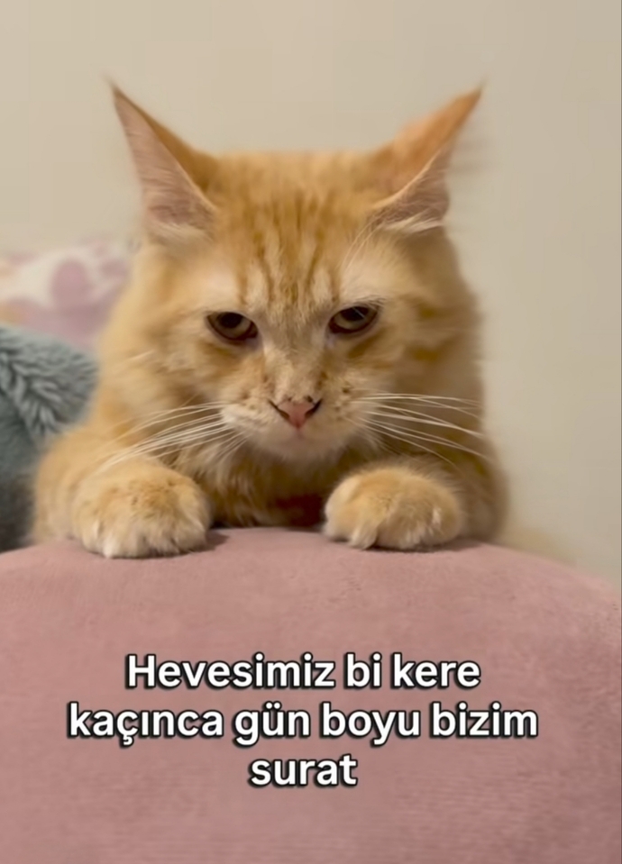 İnsanlar herhangi bir konuda hevesinizi kaçırıyor mu?