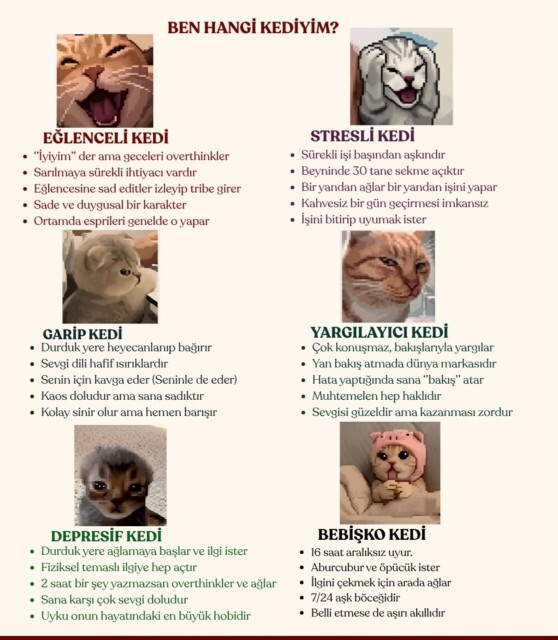 Sen hangi kedisin?
