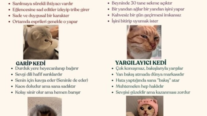 Sen hangi kedisin?