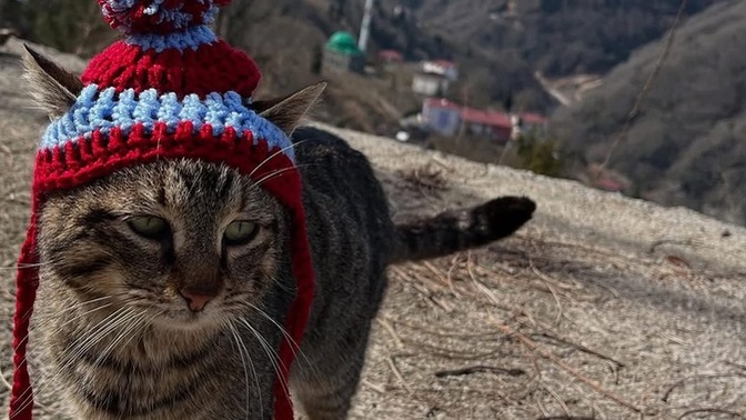 Çocuk olan sen mi daha mutluydu şimdiki sen mi?