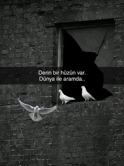 Neden derinlikli iletişim sevilmiyor? Neden hep goygoy yapılıyor?