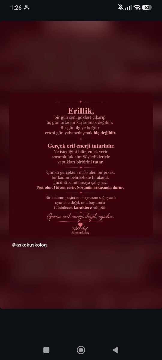 Eril erkek kime denir, eril erkeğin özellikleri nelerdir?