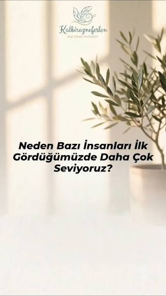 İnsanların sende ilk fark ettiği özellik sence ne?