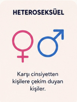 2026 cinsel yönelim anketi: cinsel yöneliminiz nedir, kendinizi nasıl tanımlıyorsunuz?