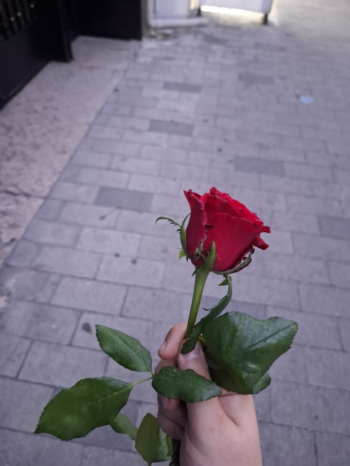 En son ne zaman çiçek aldınız?