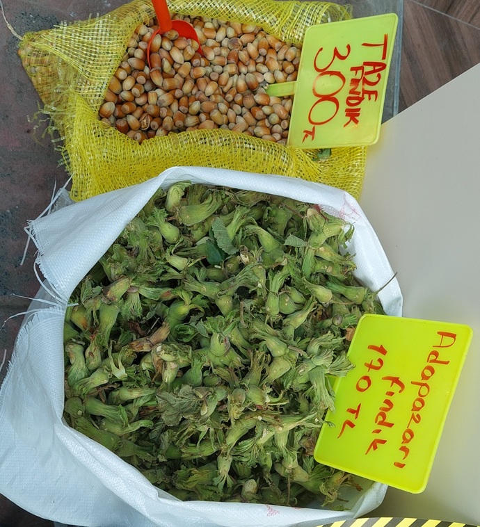 Fındık seven var mı, en çok hangi yörenin fındığını seviyorsunuz?