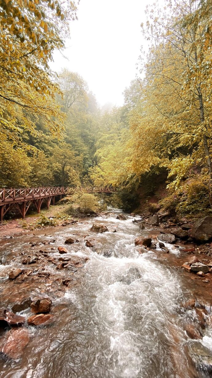 Okul, iş veya KS stresini nerede atıyorsunuz, gerçekten dinlenebiliyor musunuz?