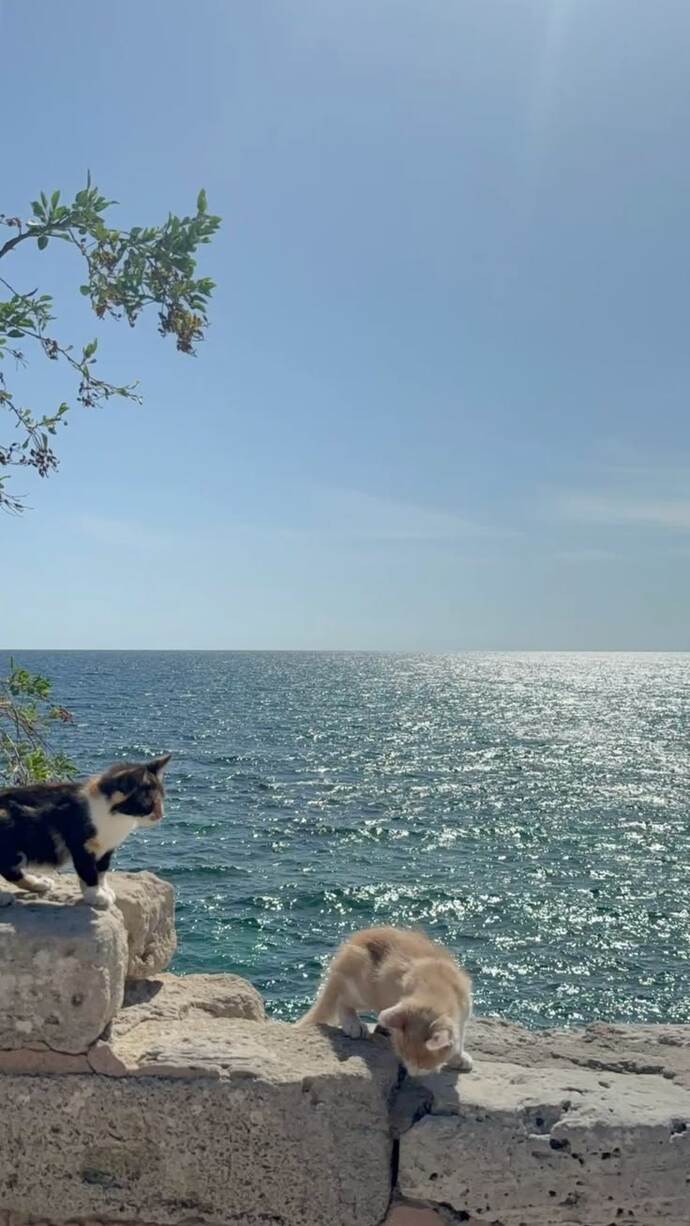 Hayallerin nerde kaldı?