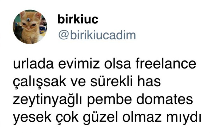 Pembe domates seviyor musunuz?
