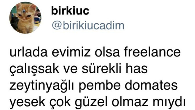 Pembe domates seviyor musunuz?