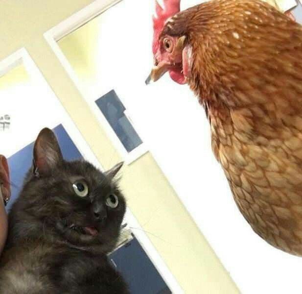 Böyle bı ilişki yürür mü sizce?