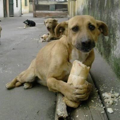 Benim birisinden para isteme huyum yok, evlenince kocamdan nasıl para isteyeceğim?
