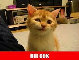 Benim birisinden para isteme huyum yok, evlenince kocamdan nasıl para isteyeceğim?