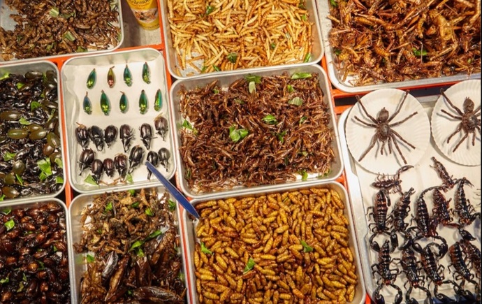 Bu tayland sokak yemeklerini yer miydiniz?
