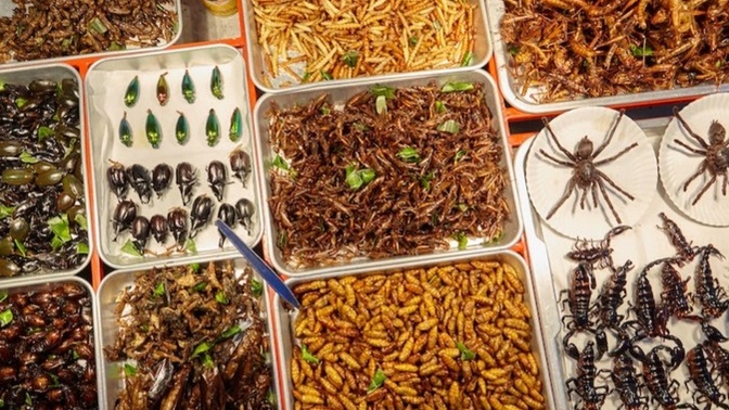 Bu tayland sokak yemeklerini yer miydiniz?