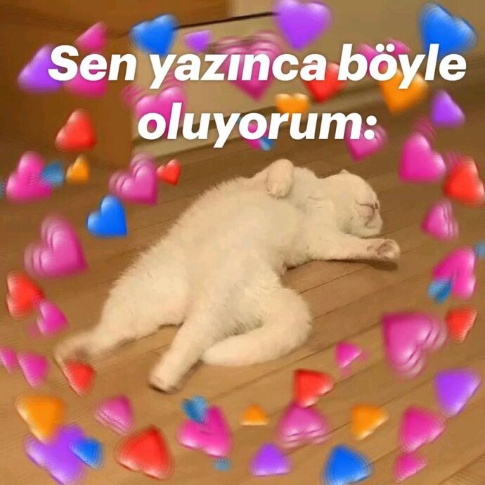 Günümü Güzelleştiriyorr 😛