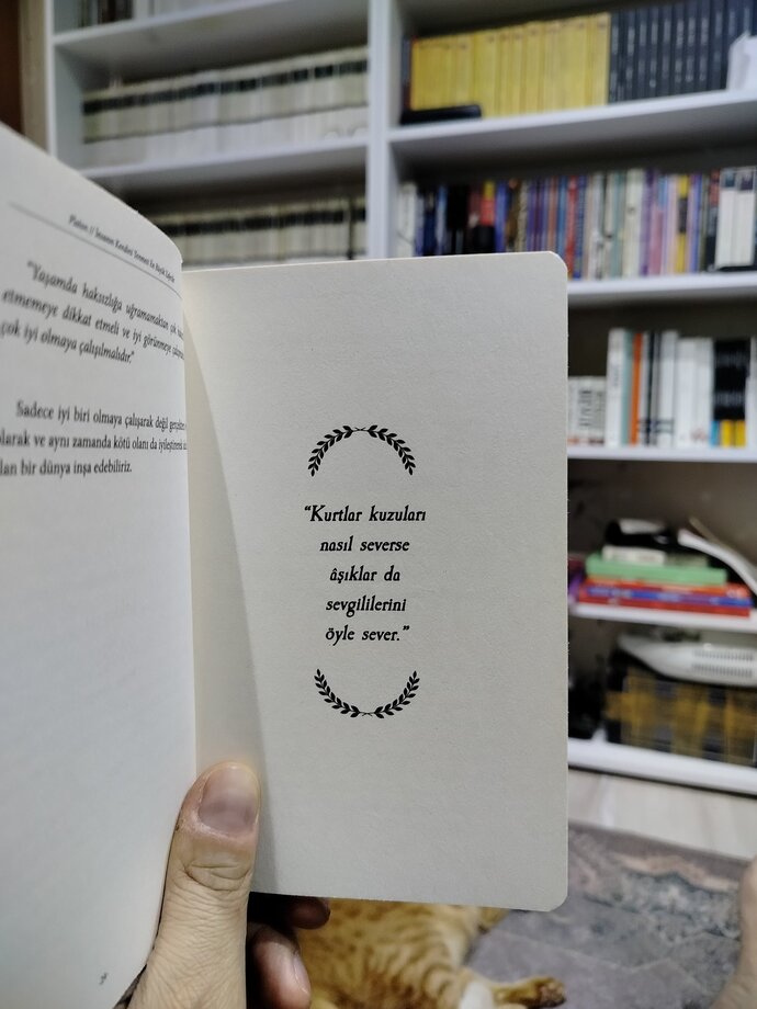 Bazen evimde kitaplarımın karşısında