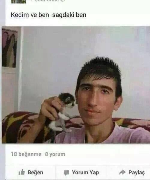 Kedileri çok sevdiğimi söyleyip kedilerle fotoğraf çekilsem kız tavlayabilir miyim?