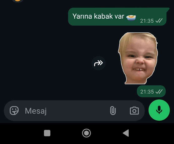 Beyaz kabak sever misiniz?