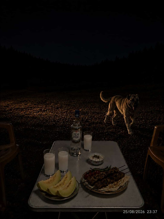 Naasıl geçiyor gece?