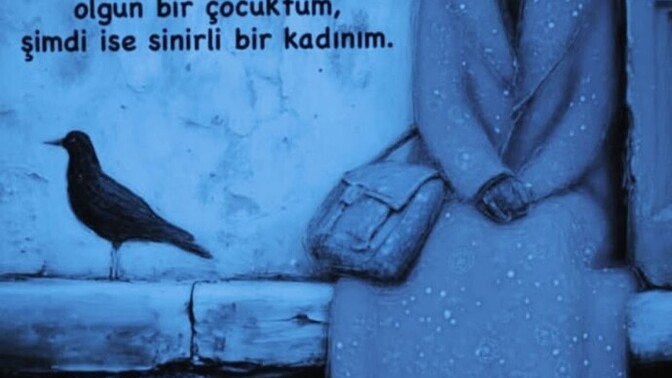 Sinirli agresif birimisindir?
