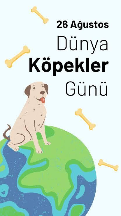 Bugün 26 Ağustos Dünya Köpekler Günü, siz köpekleri sever misiniz?