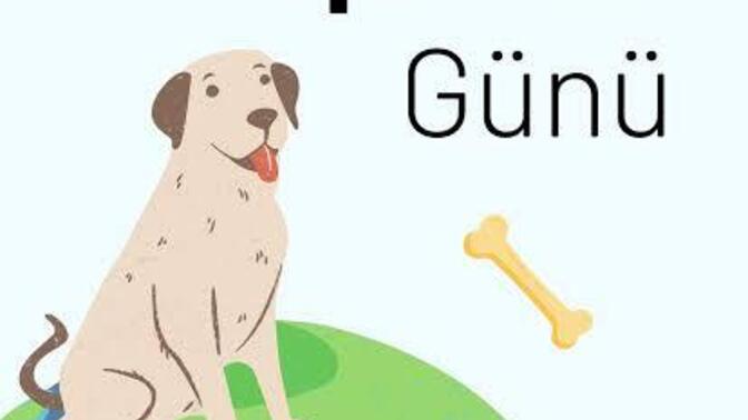 Bugün 26 Ağustos Dünya Köpekler Günü, siz köpekleri sever misiniz?