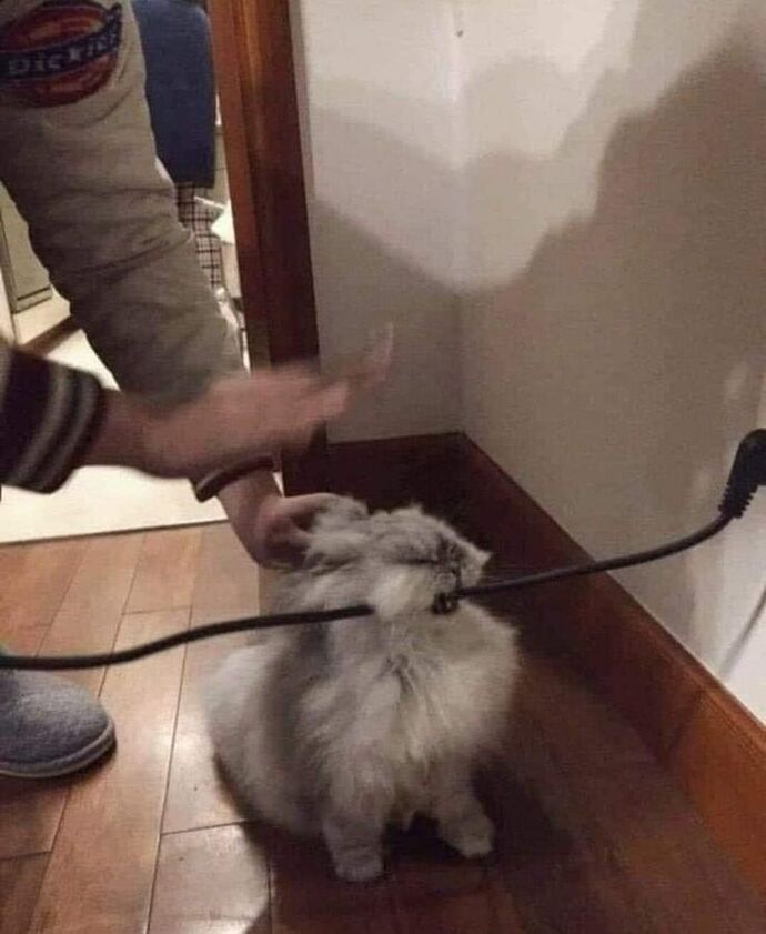 Tek seferlik yaptığınız en pahalı harcama neydi, bir kadına ödediğiniz tek gecelik bedel ne kadardı?
