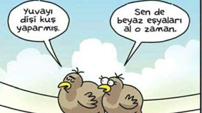 “Yuvayı dişi kuş yapar” sözü sizce ne anlama geliyor? Hayatın müşterek oluşu bu söze de etki eder mi?