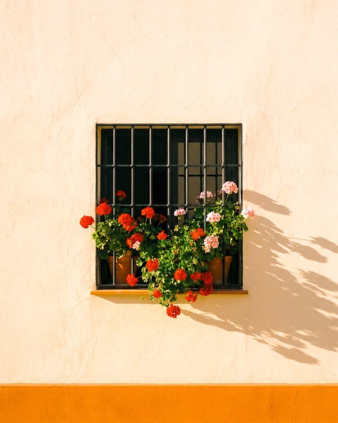 zihinsel ikebana