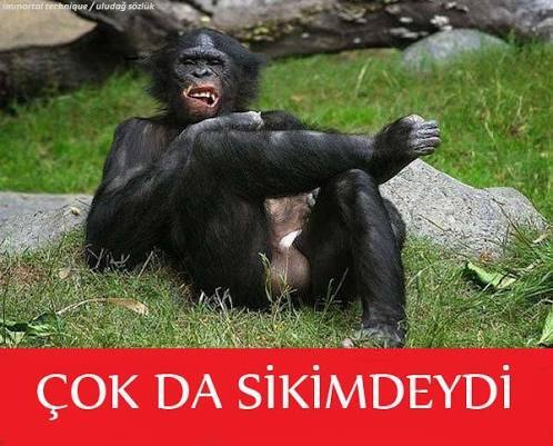 Eski sevgiliniz özledim diye yazsa ne yaparsınız?